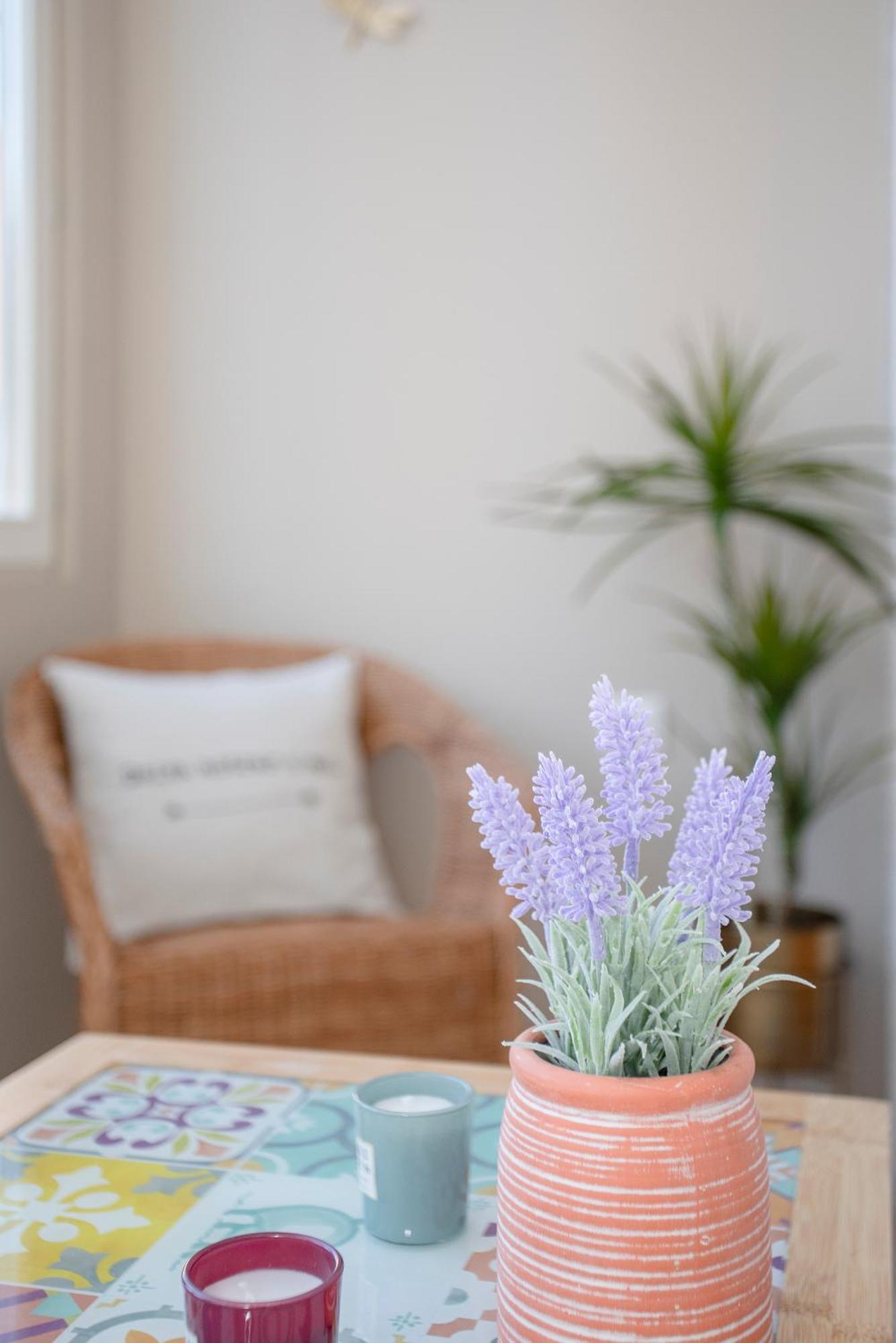Liiiving In Porto - Balcony Design Apartment 外观 照片